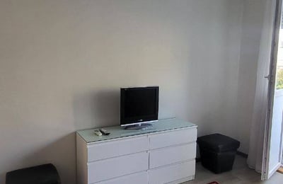 Alquiler de un acogedor apartamento tipo estudio, 24 m², Vračar, Belgrado, Serbia